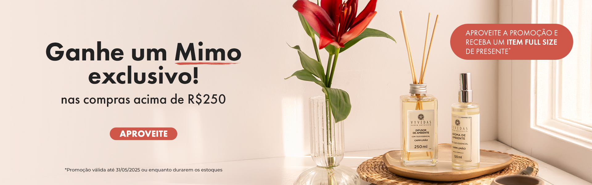 Compras acima de R$250,00 ganhe mimo - 16.04 - 31.05